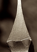 Wall_Art_Alphabet_Photography_Art_ 100